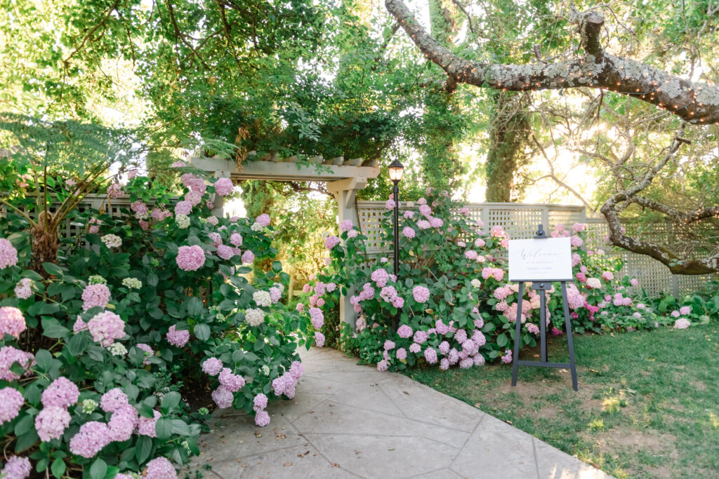Pink hydrangeas mark the entrance to this beautiful wedding at Vine Hill House in Sebastopol California.