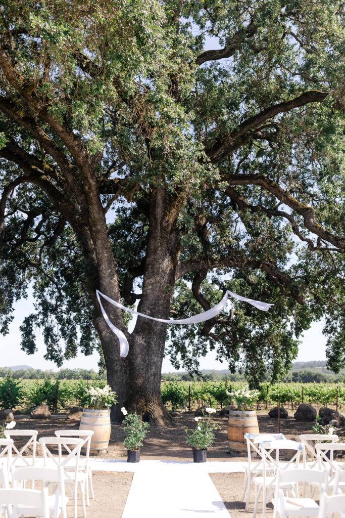 Outdoor ceremony setup at deLorimier Winery Wedding Venue in Sonoma County.