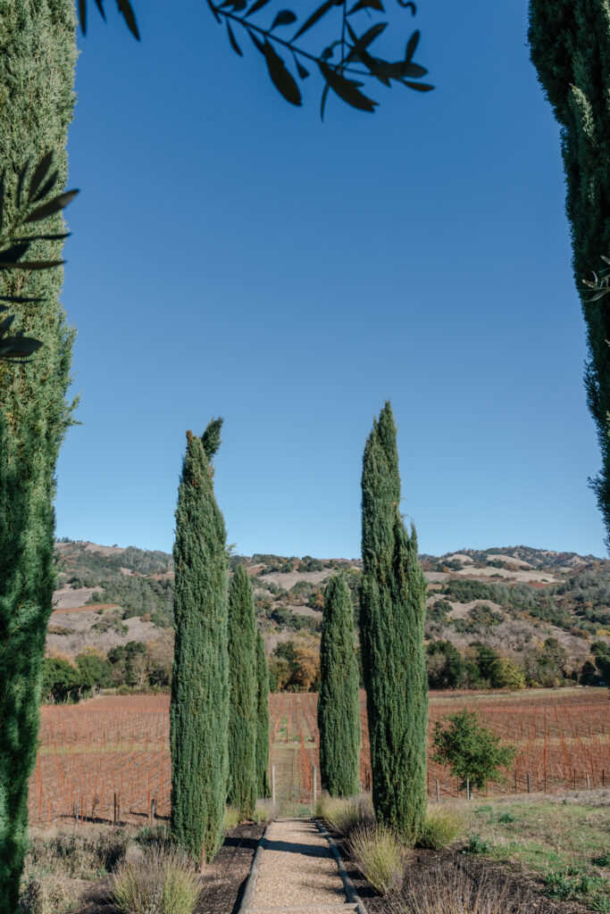 Series of trees leading down a path at a northern California wedding venue.