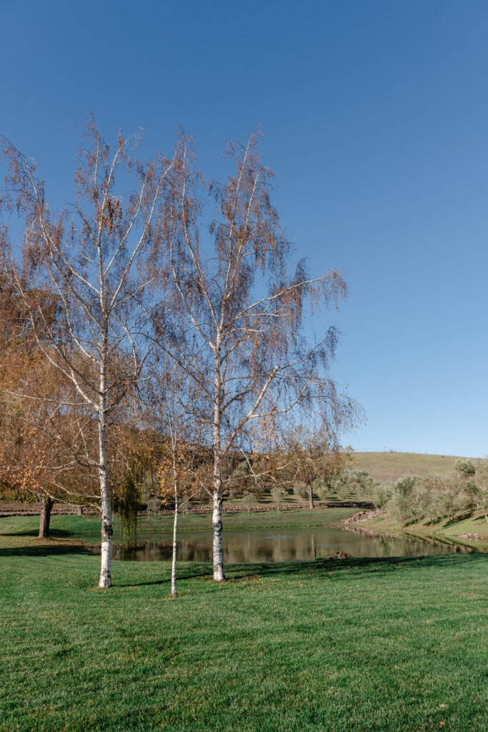 how to choose a wedding venue, photo of green grass leading to a pond with three trees near the edge.