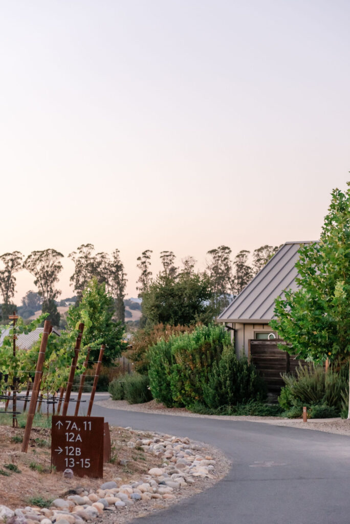 Stanly Ranch Wedding Photo