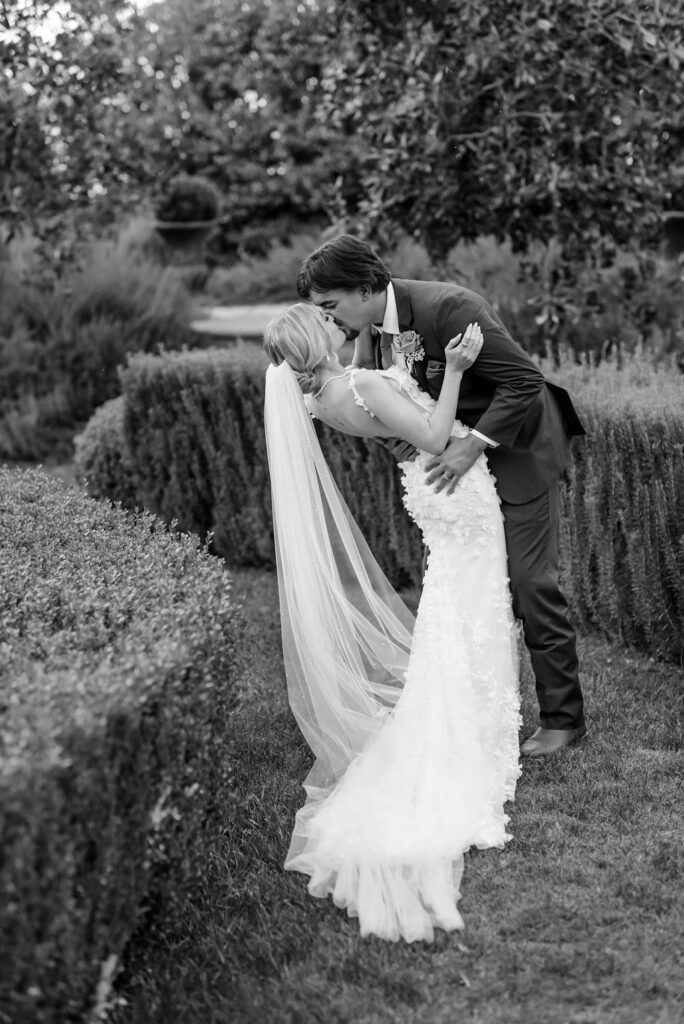 Park Winters Wedding Photos