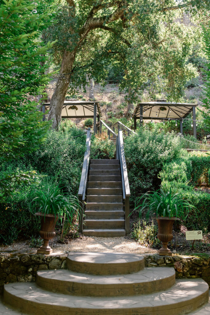 Terraced garden pathway and staircase at Buena Vista Winery wedding venue in Sonoma surrounded by lush greenery and oak trees.